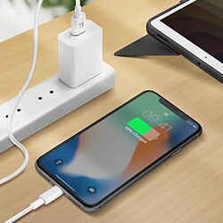 Avis Avizar Cable Lightning Charge et Transfert De Données Intensité 1A Longueur 1.5m Blanc