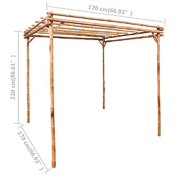 Acheter vidaXL Pergola Bambou 170x170x220 cm