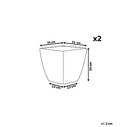 Avis Beliani Lot de 2 pots de fleurs argentés 35 x 35 x 34 cm ASTRAS