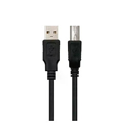 Câble USB 2.0 Ewent EC1003 Noir