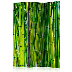 Artgeist Paravent - Bamboo Forest [Room Dividers] [135x172]