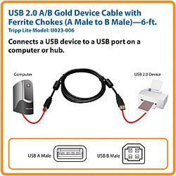 Avis Tripp Lite U023-006 câble USB 1,83 m USB A USB B Noir - Câbles USB (1,83 m, USB A, USB B, 2.0, Male Connector/Male Connector, Noir)