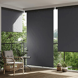 vidaXL Auvent latéral de balcon 165x250 cm noir