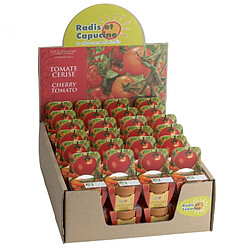 Acheter Radis Et Capucine Graines de Tomate Cerise bio en pot de culture terre cuite