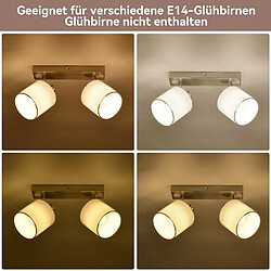 Acheter NETTLIFE 2 Spots de Plafond Moderne E14 Argent Pivotant à 350°MAX.25W Lampe de Cuisine Écran en Tissu pour Salon Chambre (Sans Ampoule)