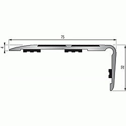 Dinac Nez de marche en aluminium pour usage tertiaire intérieur modèle 6T à 2 bandes - pose en applique à visser