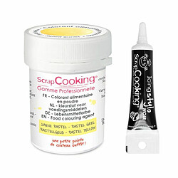 Scrapcooking Colorant alimentaire en poudre jaune pastel + Stylo glaçage noir