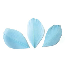 Graines Creatives 50 plumes coupées - Bleu clair 6 cm