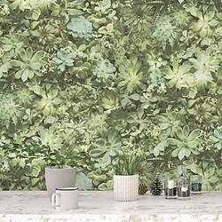 NOORDWAND Evergreen Succulent - Vert & Beige