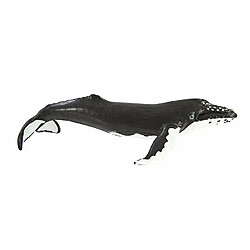 Acheter Safari S202029 Baleine