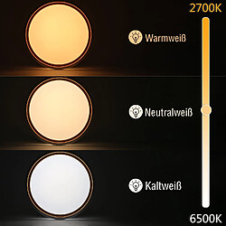 Avis Autres Temps ZMH LED Ceiling Light Living Room Ø30CM Dimmable Remote Control Modern Ceiling Light Corridor