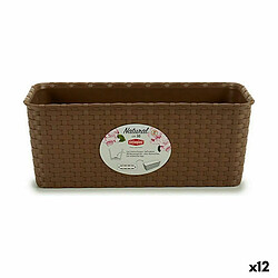 Jardinière Stefanplast Marron PVC 13 x 11 x 28,5 cm (12 Unités)