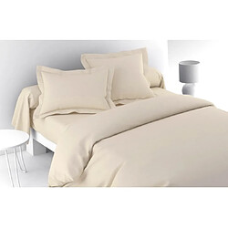 Anne de solene Housse de couette Housse couette Vexin 240x220cm coco Percale 80F