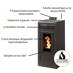 Interstoves Pack Poêle à granules MARINA 11 Etanche sortie sur le dessus + Conduit Ventouse - Bordeaux