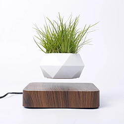 Wewoo Diamant En Plastique Pot De Fleur + Foncé Grain Bois Base Lévitation Magnétique Plante DécorationUS Plug