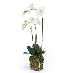 Emerald Orchidée phalaenopsis artificielle 70 cm Blanc