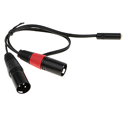 Câble audio 3.5mm à XLR Câble Convertisseur