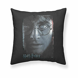 Housse de coussin Harry Potter 50 x 50 cm