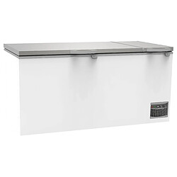 Congélateur Coffre CF 900 SILVER Couvercle Inox - 2013 x 755 x 955 mm - IARP