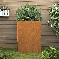 Maison Chic Jardinière,Bac à fleurs - pot de fleur 52x48x75 cm acier corten -GKD55774