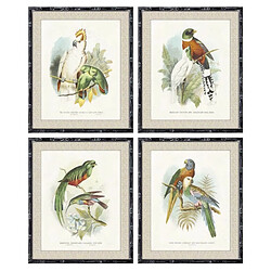 Cadre DKD Home Decor Oiseaux Moderne (50 x 2 x 60 cm) (4 Unités)