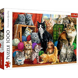 Trefl- Puzzles 1000 Puzzels, TR10555, coloré