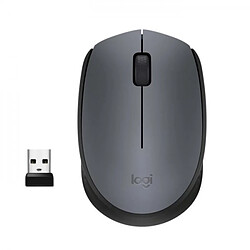 Souris LOGITECH - Sans Fil M170 - Gris