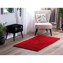 Avis Beliani Tapis rouge 80 x 150 cm DEMRE