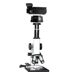 Adaptateur pour microscope