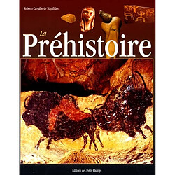 La préhistoire - Occasion