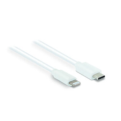 Metronic Câble Lightning vers USB-C - Blanc