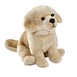 Anima Peluche Golden assis 30cm