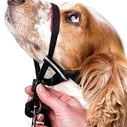 THE COMPANY OF ANIMALS Halti Optifit Collier Anti-Traction pour Chiens L