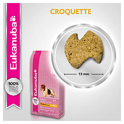 Croquettes pour chien