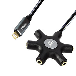 Câble audio Lightning vers 5 prises Jack 3.5mm Son de qualité Longueur 30cm LinQ