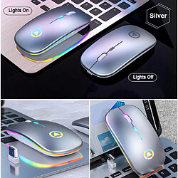 2pcs Souris Sans Fil Bluetooth Rechargeable LED Rétro-éclairé Pour Ordinateur Portable