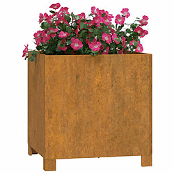 Avis Maison Chic Jardinière,Bac à fleurs - pot de fleurs avec pieds 2 pcs Rouillé 42x40x43 cm Acier corten -GKD29278