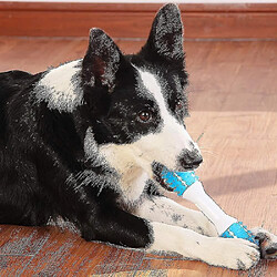 Acheter Jouets de dentition pour chiots Jouets à mâcher pour chiens pour les mâcheurs doux Favorise la santé dentaire Réduit l'inconfort de la dentition L'ennui Rafraîchit l'haleine Jouet pour chiens en caoutchouc PU