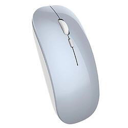 Acheter Souris Sans Fil Bluetooth5.0 Double Mode + Mode 2,4 GHz Pour Ordinateur Portable PC Argent