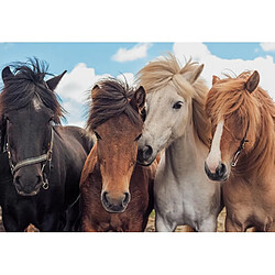 Avis Ravensburger 2x24p l'amour des chevaux