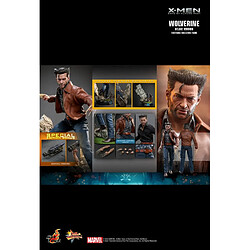 Hot Toys MMS660D - Marvel Comics -X-Men : Days Of The Future Past - Wolverine 1973 Suit Deluxe Version