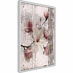 Paris Prix Affiche Murale Encadrée Queen of Spring Flowers I 40 x 60 cm Blanc