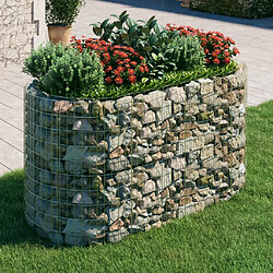 Maison Chic Jardinière,Lit surélevé - Bac à fleurs - pot de fleur à gabion Fer galvanisé 200x100x100 cm -GKD42096