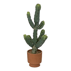 Atmosphera, Createur D'Interieur Cactus en pot Alicante H49cm - ATMOSPHERA