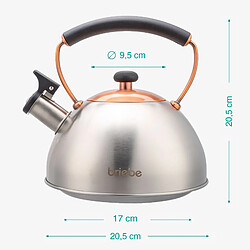 Bouilloire à Induction Théière Sifflet 2,3L Acier Inox. Retro, Poignée Cool, , Inox/ Bronze, Briebe, I-Bronze pas cher