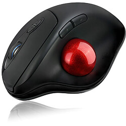 Acheter Souris ergonomique - Adesso - T30 noire