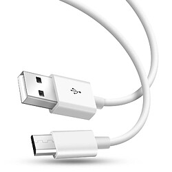 Avizar Cable Micro USB Charge rapide Transfert De Données Longueur 1m Blanc