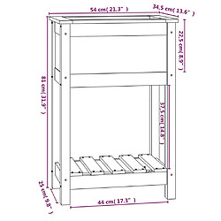 vidaXL Jardinière avec étagère Blanc 54x34,5x81 cm Bois massif de pin pas cher