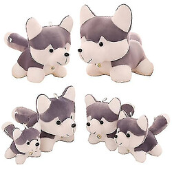 Universal Chien husky en peluche mignon, meilleur cadeau pour les enfants (42 cm)