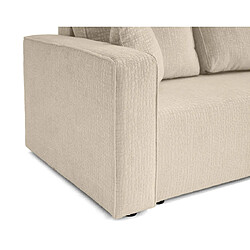 Acheter Bestmobilier Topaze - canapé 3 places - convertible avec coffre - en tissu velours relief